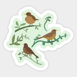 Clay-colored thrush or yigüirro Sticker